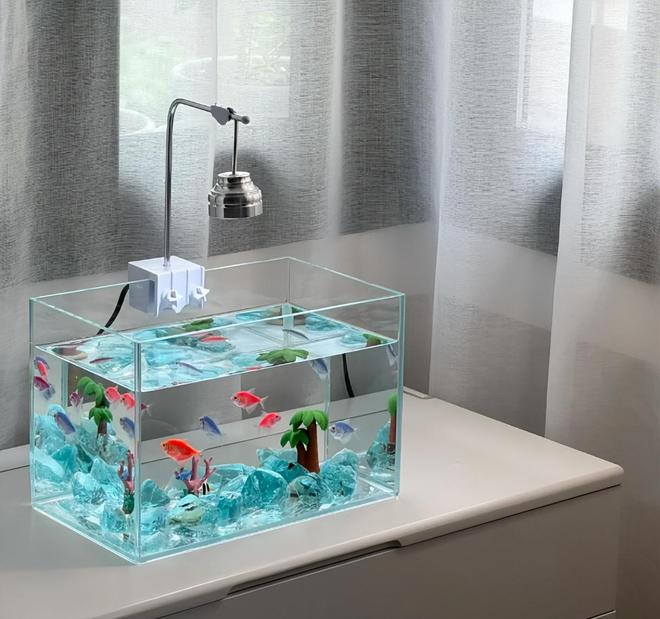 放“这5样”不是瞎说小心影响身体健康j9国际站登录切记！睡觉的房间不能(图3)