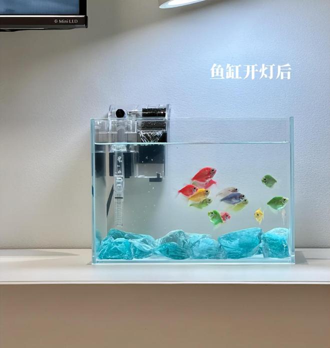 放“这5样”不是瞎说小心影响身体健康j9国际站登录切记！睡觉