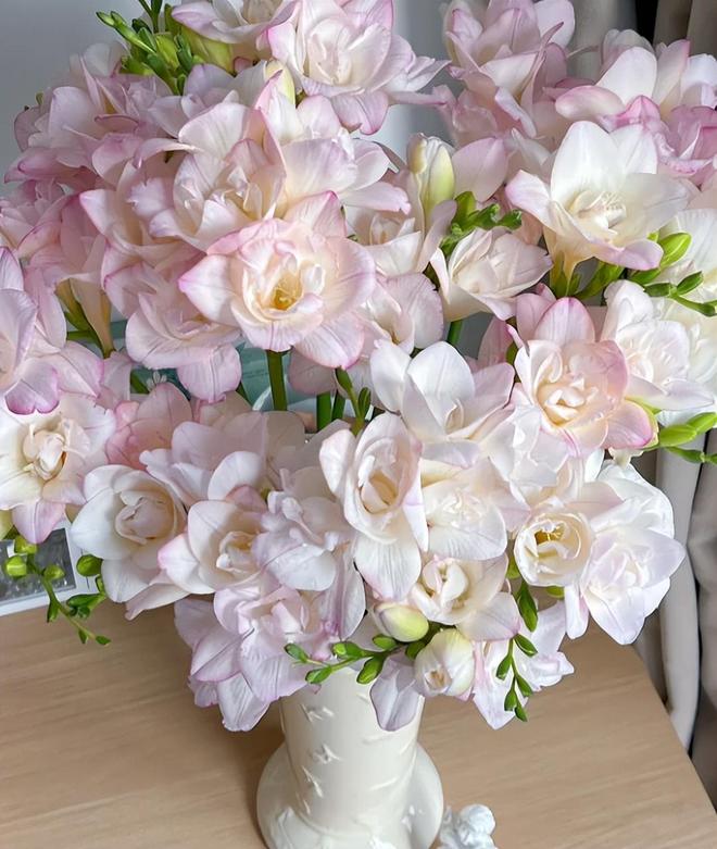 放“这5样”不是瞎说小心影响身体健康j9国际站登录切记！睡觉的房间不能(图6)